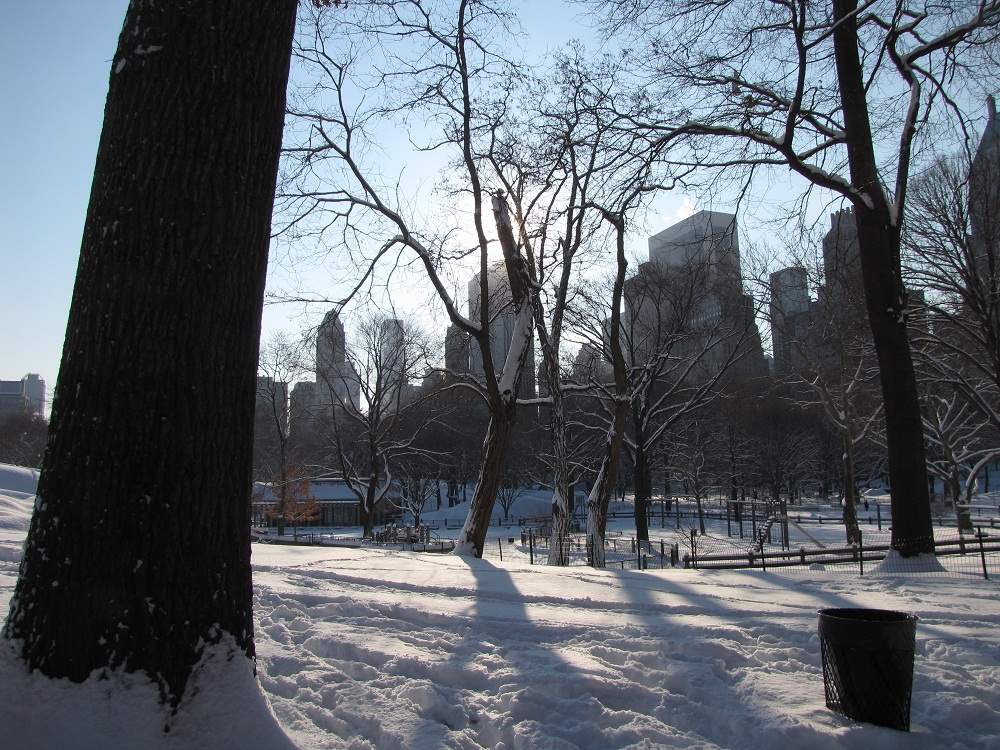 Central Park im Winter