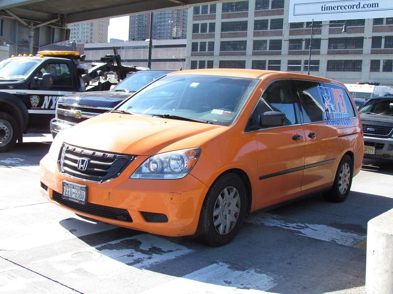 New York City - Pet Cab